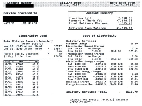 How to read your electric bill: delivery